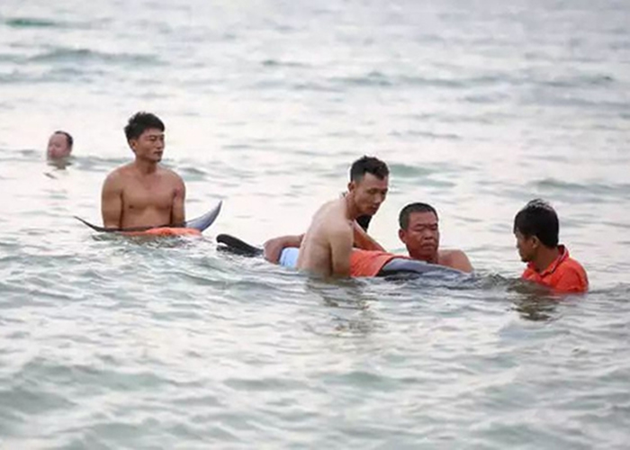 ������Ա�����������