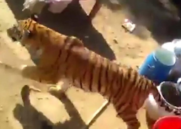 ӡ��������ϻ������񳡵�