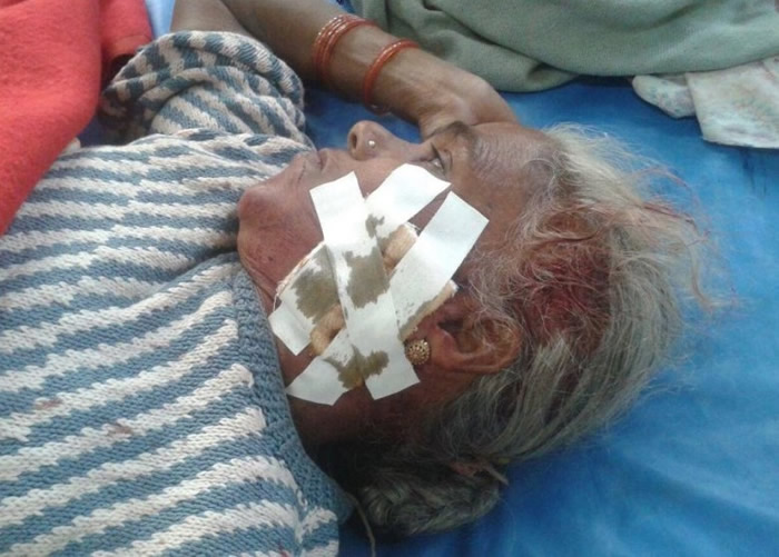 ��ά���������ϻ���ҧ��