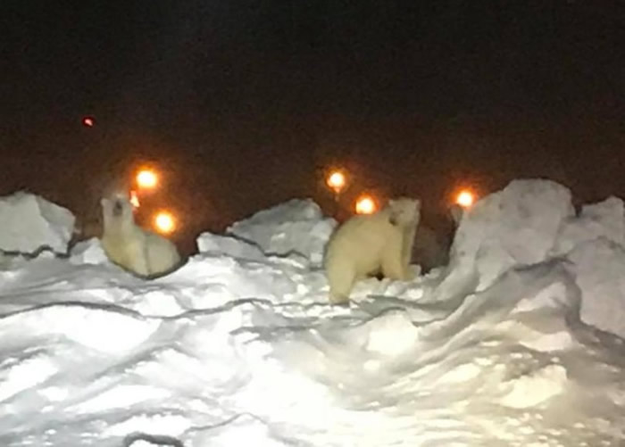 �������ܴ���������˹���ݻ��� һ���⼴����