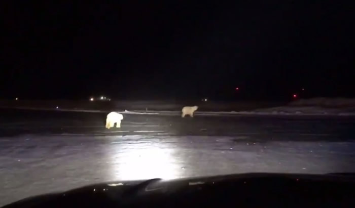 �������ܴ���������˹���ݻ��� һ���⼴����