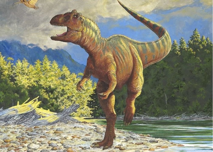 恐龙脚印是属于一种肉食性的恐龙。