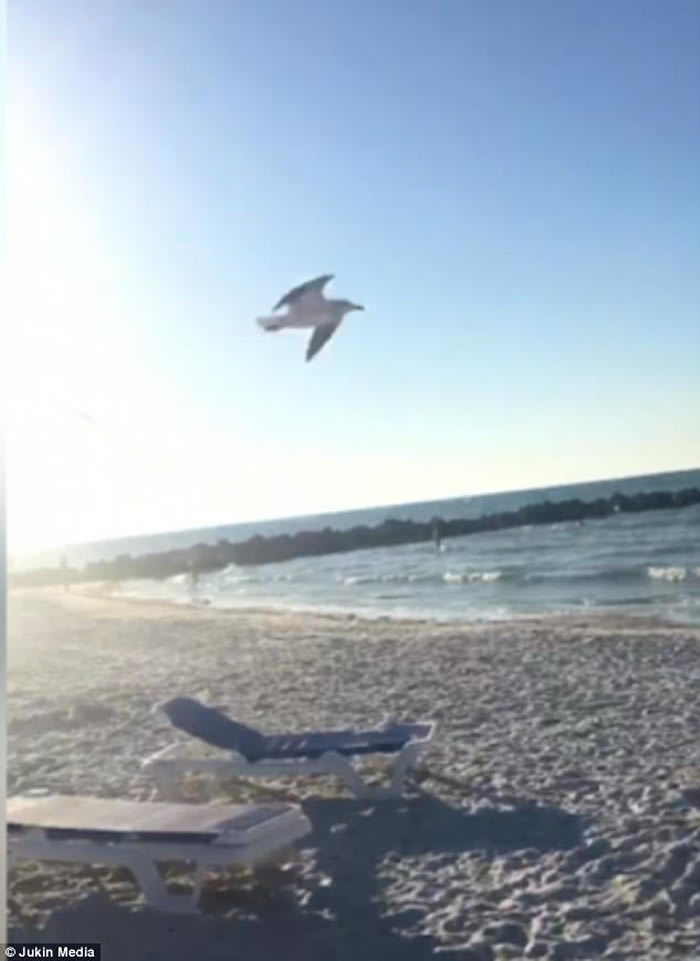 ������������ݺ�̲Ů�Ӻ���ιʳ ���⺣Ÿ��׷��