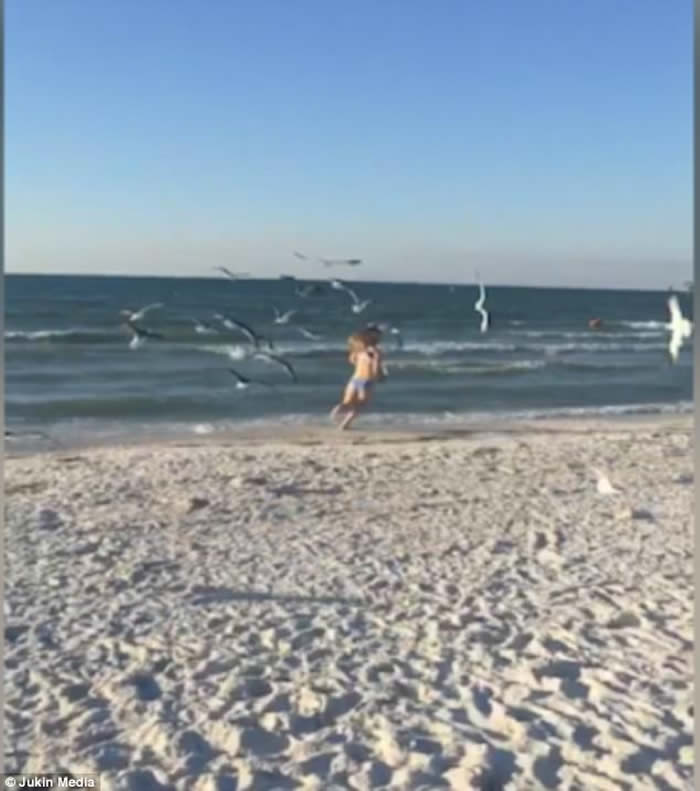 ������������ݺ�̲Ů�Ӻ���ιʳ ���⺣Ÿ��׷��