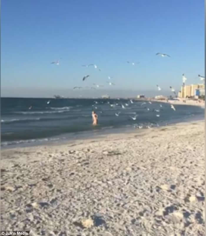 ������������ݺ�̲Ů�Ӻ���ιʳ ���⺣Ÿ��׷��