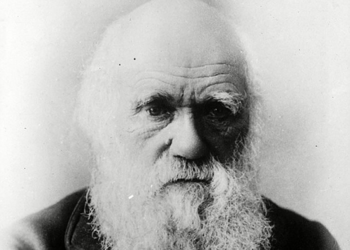 达尔文(图)著作《物种起源》手抄本被拍卖。