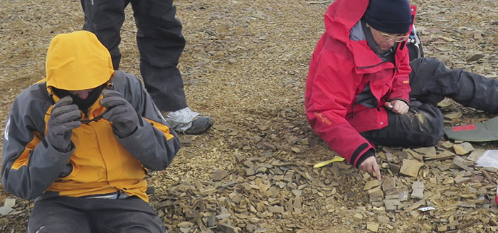 1.5亿年前侏罗纪“海怪”蛇颈龙曾在南极水域出没