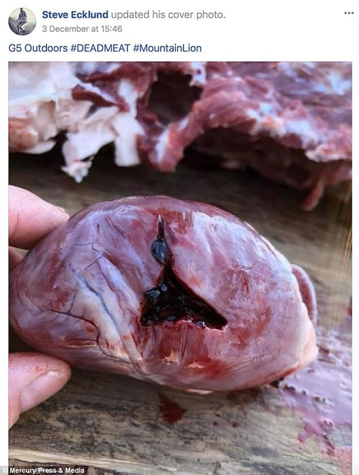 ô֪ĿSteve Ecklundɱʨ⡱ ʿ̢