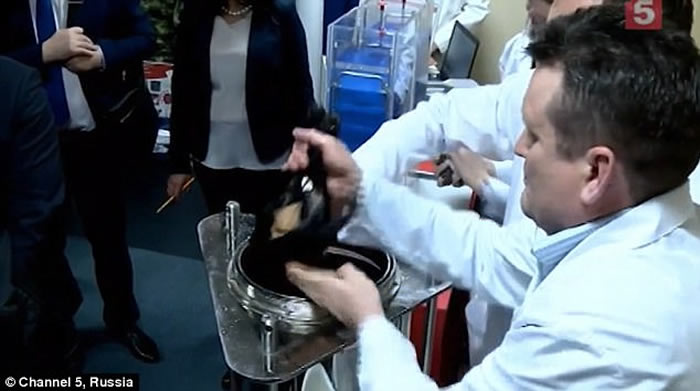 俄罗斯研发“液态呼吸术”让呼吸空气的生物能在液体中生存