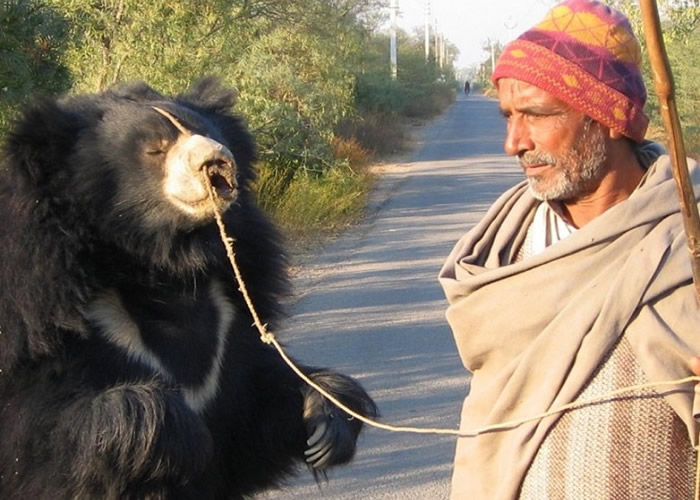 ȫ�������в����˽�Ұ�������������ݡ�