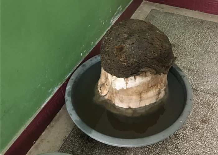 ���������Ģ��״��