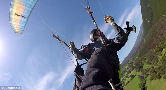 澳洲男子在维多利亚省独自玩滑翔伞时遇上两只喜鹊不断骚扰