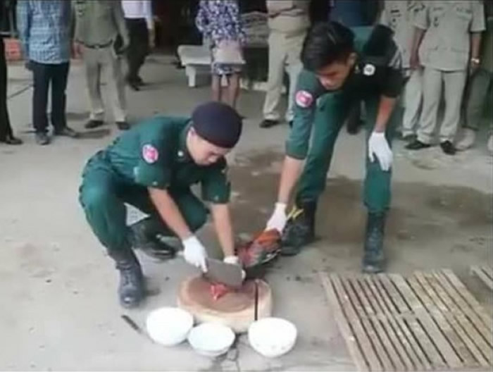 ����կ�ɵ�ʡ��Ժ�о�����92ֻ������������ ���ⱻ��Ա�Թ�