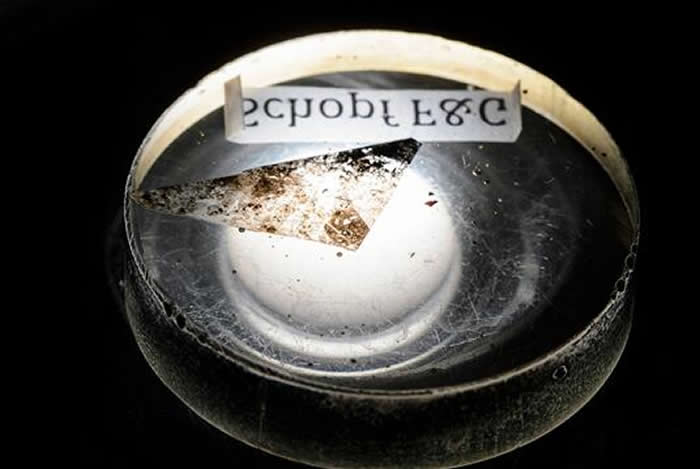 图为在威斯康星二次离子质谱仪实验室拍摄的资料图片,显示了在澳大利亚西部顶燧石矿藏中发现的包含少量近 35 亿年前岩石的环氧树脂支架。