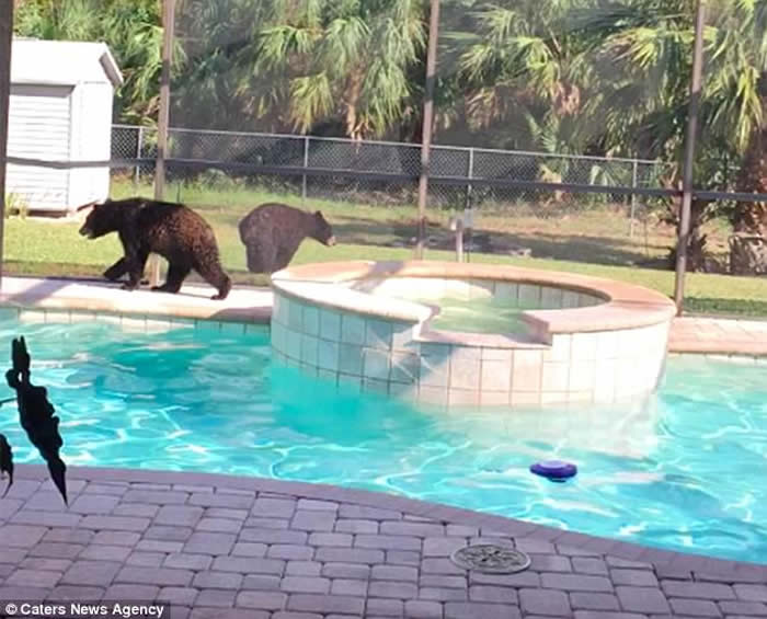 ����������������ӻؼҾ�����ֻС��������Ӿ�ء����ɶԡ�