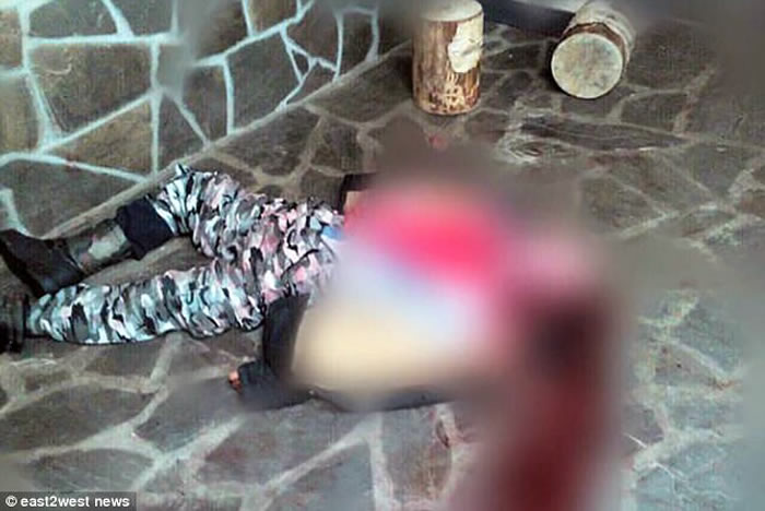 俄罗斯莫斯科伊特拉斯区私人动物园黑豹咬死饲养员