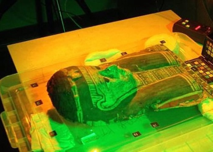 �о���Ա�Ժ����߼�����ɨ��ľ�����Ĺ�ľ��