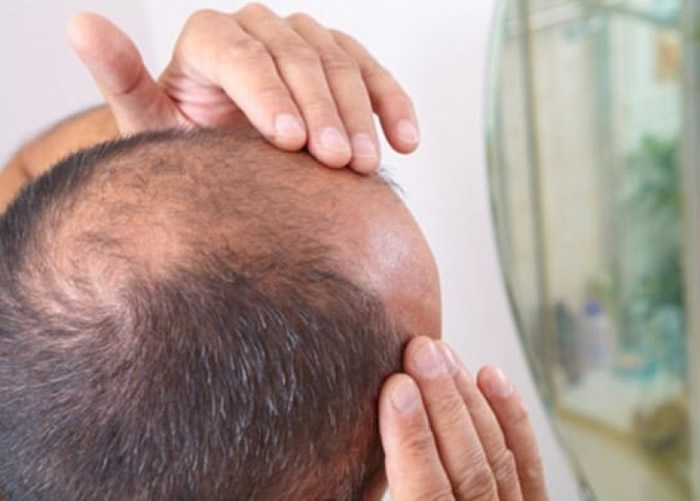 ������ѧ�����������ϸ�������᳤��ë�ҵ�Ƥ����֯��ͺͷ