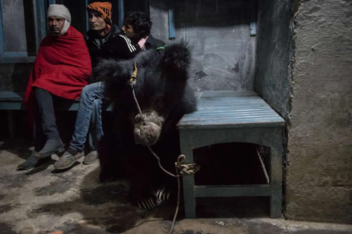 �賿3��ľ���������������ڳ����ϣ���������������������������������������Ŀ����Ԯ��������¿�³�ȣ�Neil D��Cruze��˵�� �����𾪡����ϡ���ŭ����