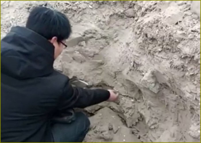 ����ֹ�����Ա�����˽�Ӵ������ƻ��̶ȡ�