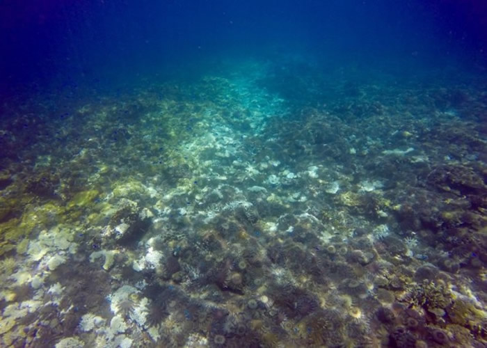 ��Ƭɺ���������ں��Ǹ��ǡ�