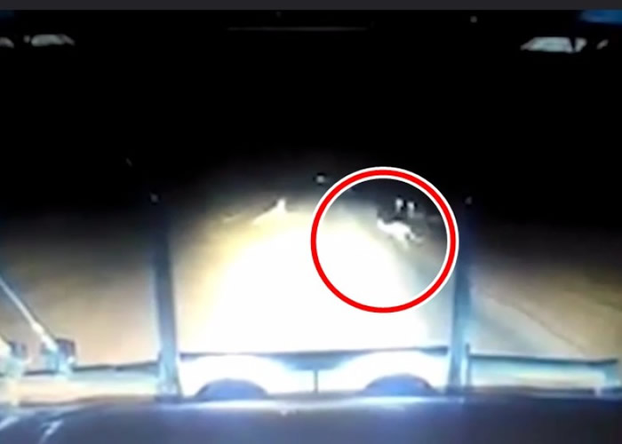 �Ĵ�����˾��������ײ������ �º��˷ܴ�Ц�ǹ���