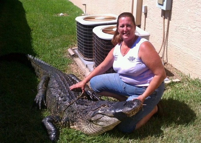 哈特猎鳄技术了得,手到拿来。