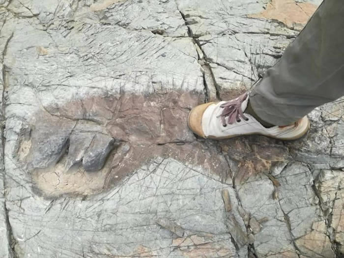 ʷǰĴڣ޲άɽʯϷ־޴ӡ