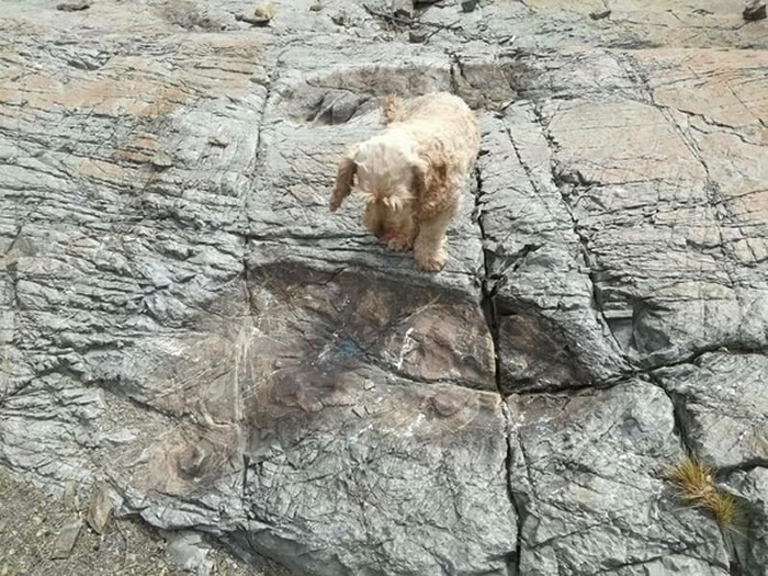 ʷǰĴڣ޲άɽʯϷ־޴ӡ