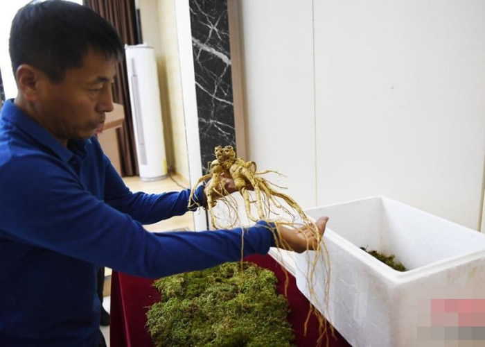 ҵձΪҰɽÿԼ3ˣ㡰ӦԼ200ʷ