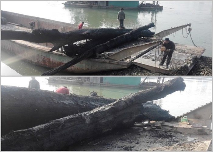 3��������ľ�10���ף�ֱ��Լ1.5�ס�