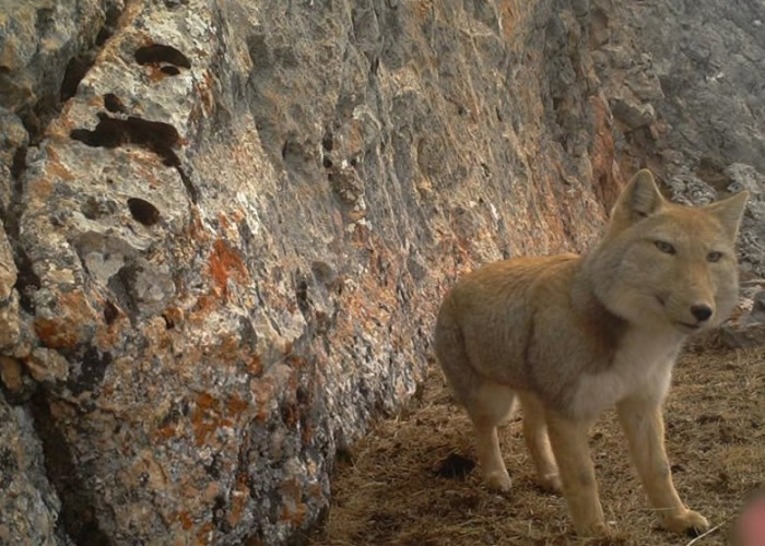 �غ��ԡ���֮΢Ц�����ơ�