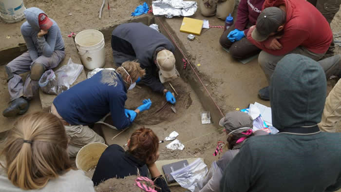 阿拉斯加中部一处11,500年前营址所发现的婴儿遗骸揭露了一群具有基因独特性，且过去不为科学家所知的美洲原住民。 PHOTOGRAPH BY BEN POTTE