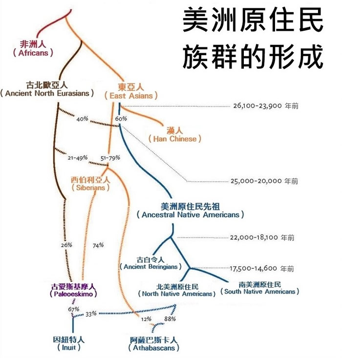 美洲原住民族群的失落基因年表 DIAGRAM COURTESY BEN POTTER, ESKE WILLERSLEV