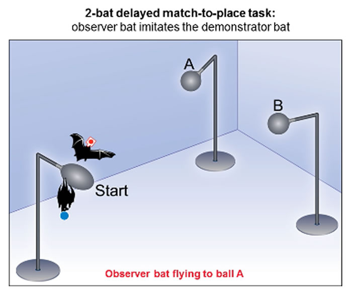 ���о�������ʹ���Ĵ��Ժ����з���һ����Ԫ����