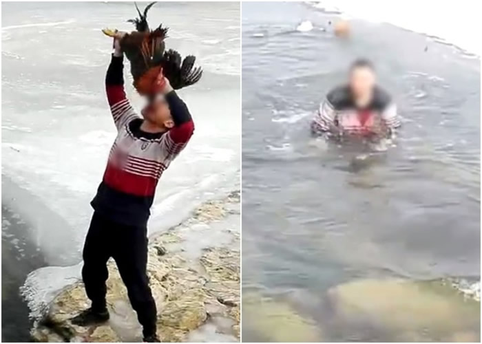 ����ʡ�����������ڴ���ӱ���ֱ��ʳ� ר�ң�����