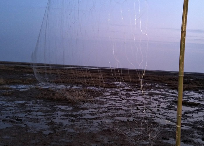 �ع��ӷ�����ʮ����Ƿ���������