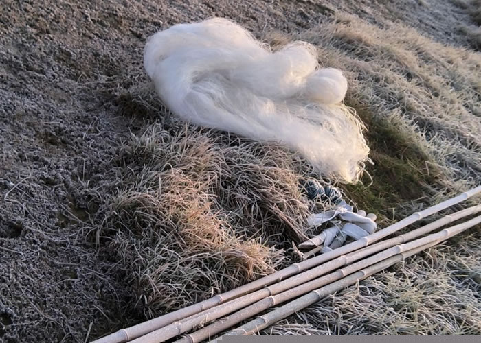 ������Ա�º���Щ������������ߡ�