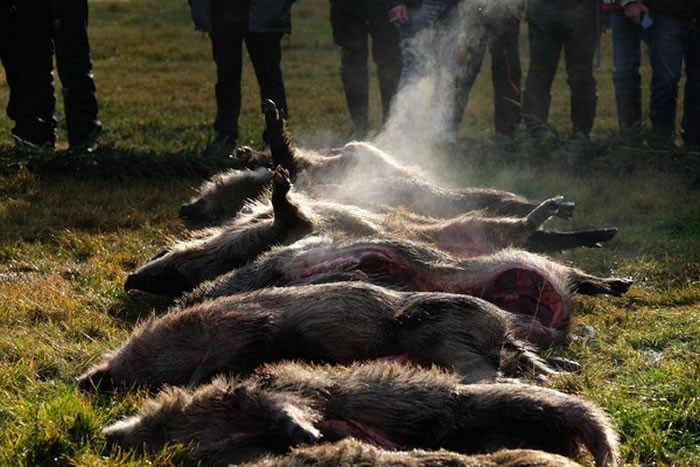 ������������������ǳ�ǿ������������ֻ�������������⣬Ҳ���Ⱦ��