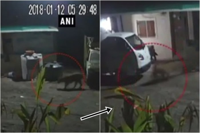 ӡ��������ʩ�������ϻ������ һ�ڵ�����ǰ��˯���ﹷ