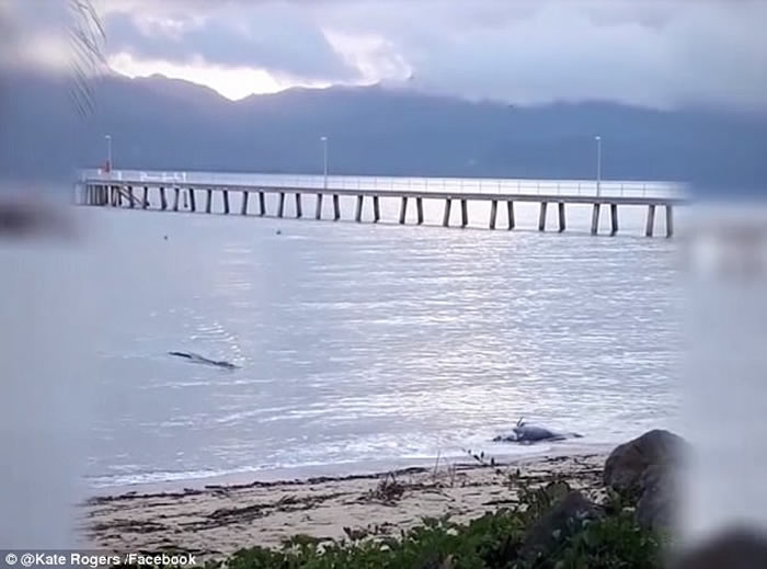 ���ޡ���˹�������ν�ǳ̲ ��ҧ����ʬ��ش�