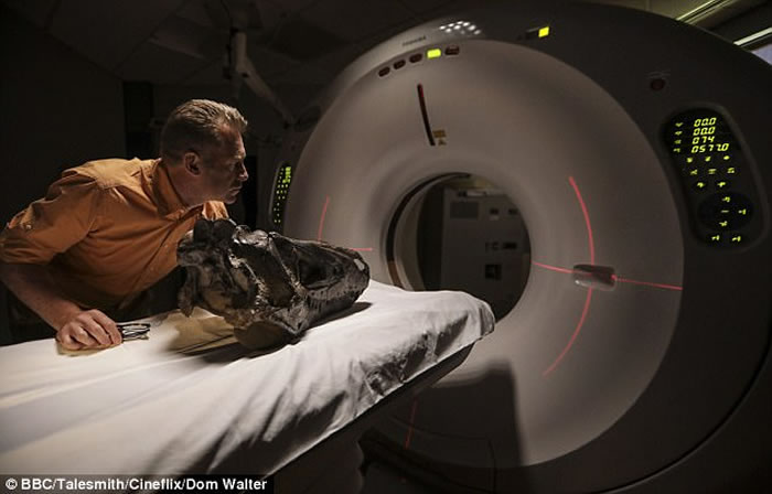 美国科学家复原有史以来最恐怖的声音:暴龙的咆哮