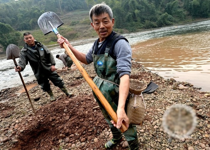 重庆市江津区百年古镇塘河镇发现的石英质硒玉为新玉种 掀寻玉潮