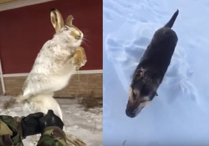 ˹̹ܱѩϮ½-56 Ұú͹ԭض