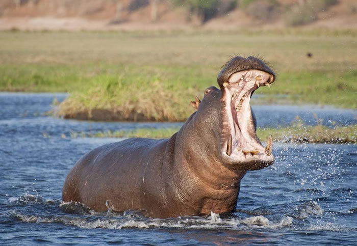 ̹ɣ���Ǽƻ�����3.5�ֺ����� �����������岻��