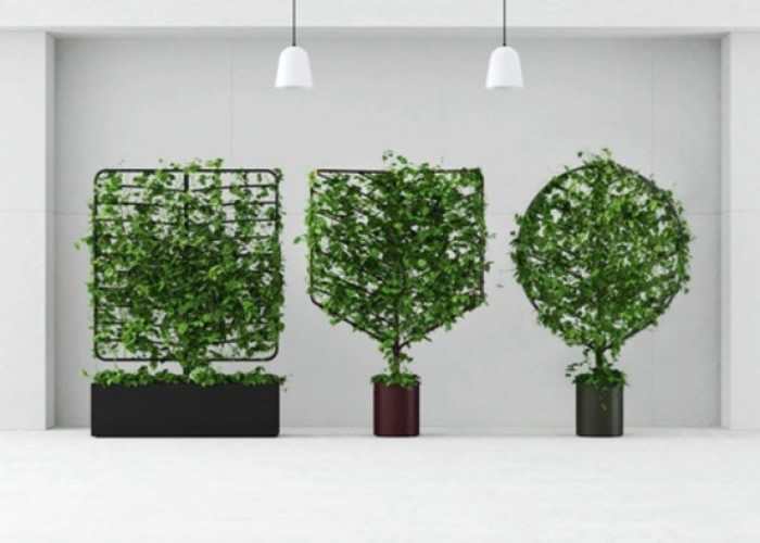 ��ֲ��԰���硱�Դ���Ȼ��Ҷ��Ϊ���͡�