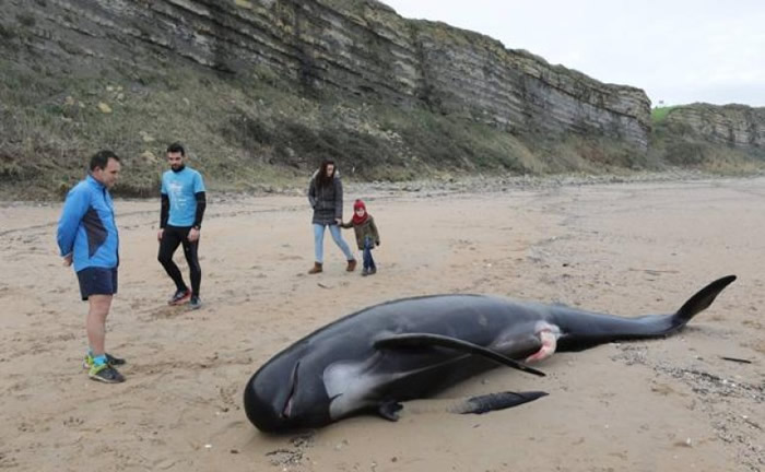 ��������̲�ֽ�4�׳��캽��ʬ�� ���������ϴ�����