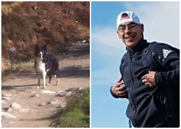 ���������ͼ������÷����ͼ����ɽ�ϣ���������������������