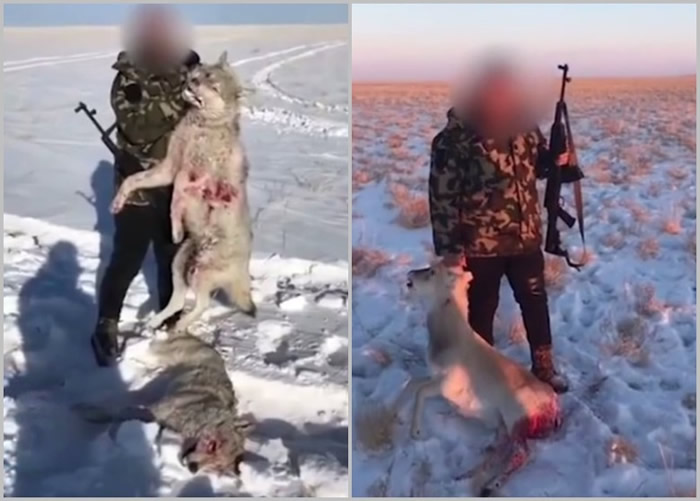 Ƭ�н���ͨ�������Ӿ��𱻻��е�����ѩ�Ǽ�����ԭ����ҫ��