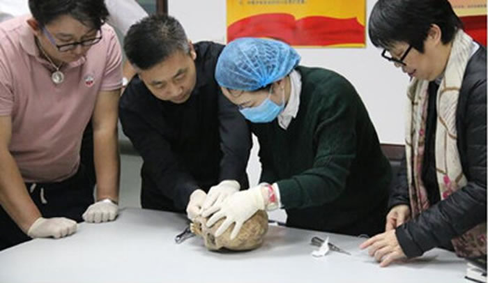 专家对扎赉诺尔人头骨和鲜卑人头骨化石进行考古分析和取样鉴定